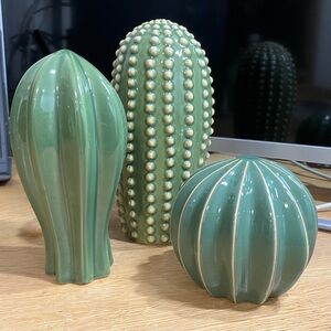 Decorative Cactus Set of 3